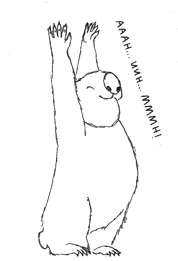 Willy Wombat streckt sich